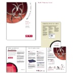NAI_STYLE_GUIDE-53.jpg