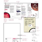 NAI_STYLE_GUIDE-82.jpg