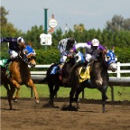 horseracing_09_SKY2089.jpg