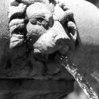 DSC_0014bw.jpg