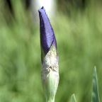 DSC_0068.JPG
