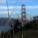goldengate4.jpg